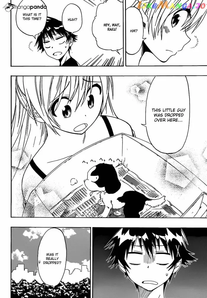 Nisekoi Chapter 41 image 03_optimized